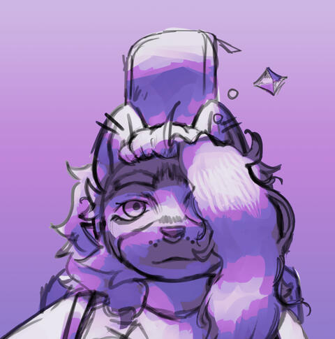 dumb little raccon wrapped up in a blanket